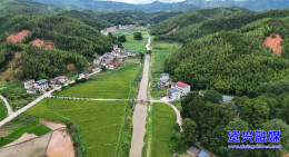 资兴：党建引领特色产业发展 村民实现“家门口”就业增收