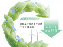 行动方案来了，“十五五”碳达峰工作这样干