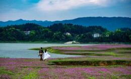 美丽娄底·月度优选①|5件“每月之星”揭晓，邀您共赏！