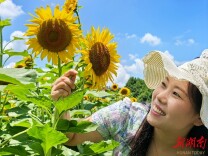 徜徉花海间