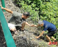桃江县｜高温下，救老人、送回家、嘱体检……胡志伟，你的仗义藏不住了！