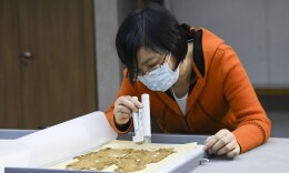New Book Presents Mawangdui Tomb Findings in Easy-to-understand Narrative