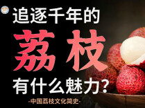 一颗荔枝有什么魅力？权力与文化的千年追逐