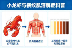 吃小龙虾怕“溶肌”？一文读懂风险、避坑与应急处理