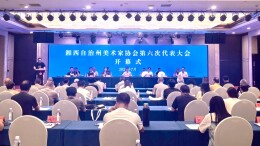 湘西州美协完成换届 彭方山当选新一届主席