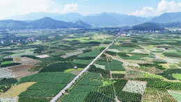 多彩田园
