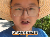 “亮”数据｜中国空调欧洲销量暴涨，要爆红更要长红