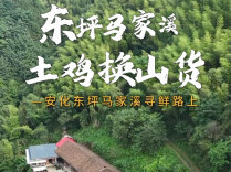 懂湘寻鲜｜“不讲价，你拿走！”安化深山老人斩钉截铁的背后，哪是土鸡换山货，分明是以心换心