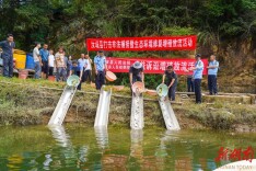 一尾鱼苗 一泓清流 汝城法院开展增殖放流生态修复活动