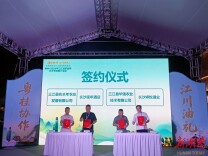 粤桂协作助力“三江油茶”香飘长沙