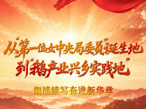 山河见证 | 从“第一位女中央局委员”诞生地到“鹅产业兴乡实践地”：溆浦续写奋进新华章