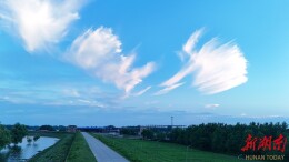 大通湖区｜晴夏湖乡如画，一起邂逅极致湖光水色