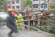 Typhoon Bavi wreaks havoc across nation's eastern coast