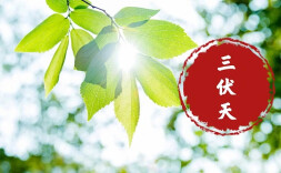 今年7月15日入伏，时长40天，比去年多10天