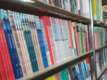 第九届鲁迅文学奖提名作品公示
