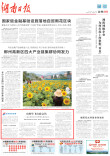 山坳里飞出致富鸽——返乡青年吕少林带领乡亲创业记 | 湖南日报