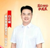 高端访谈丨访郴州市委副书记、代市长白云峰——加快构建“1221”现代化产业体系 融湾向海挺起高质量发展脊梁