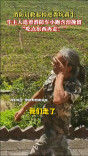 消防员救起掉进粪坑黄牛，牛主人追着消防车小跑含泪挽留：“吃点东西再走！”