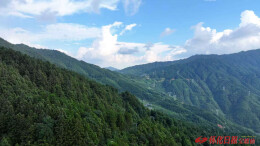 “凉资源”变“热产业” ——洪江市雪峰山成旅游避暑好去处
