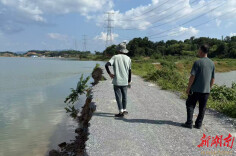 火速抢险保平安！临湘市江南镇成功处置冶湖堤防垮塌防汛险情