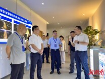 智慧路灯改造提质增效，民生实事项目获区人大视察肯定