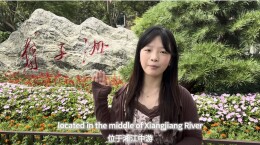 四语同声传薪火，红色文旅育新人——长沙民政职院外语学院党总支教工第二党支部党建实践活动走进橘子洲