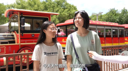 高温守一线，橘子洲文旅人不服 “暑”