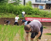 党建引领插秧忙 携手共建促丰收
