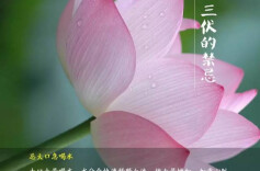 今日入伏！为何会有“加长版”伏天？如何安然度暑伏？