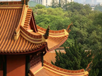 汪小蓉：岳麓山遇见——湖湘文脉的千年回响