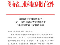 芦淞区两家企业入选全省先进制造业“揭榜挂帅”项目