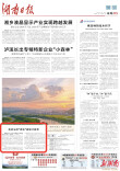 娄底法院“硬核”破解讨薪难|湖南日报