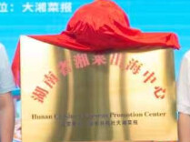 让世界爱上湖南味！湘菜出海中心打造全链条服务平台