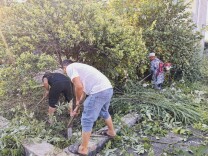 邵阳县下花桥镇：建好党群主阵地 办好惠民暖心事