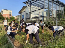 访临空经济高地 探现代农业新路——长郡学子暑期研学一线观察