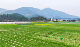 湖南有效衔接交好卷，常态化帮扶启新程