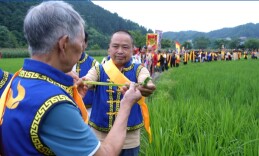 新晃：千人欢聚尝新节 稻浪飘香话丰年