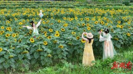田园风光惹人醉