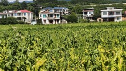 徒步六里察农困 数智赋能助红星——邵阳学院乡村振兴促进团走进红星村助农纪实
