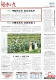 湖南日报市州头条｜醴陵电瓷销四海 美名扬五洲 出口量连续15年居全国第一位