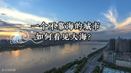 逛展多一点丨为何这个展，能让长沙与大海相连？