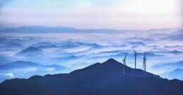 25℃天然凉棚就位！邵阳暑期福利大放送｜湘约一夏（17）