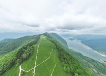 寻茶记丨山巅孕灵秀 一叶溢清香——石门银峰的高山茶韵