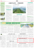 潜心耕耘乡村那片希望的土地 | 湖南日报