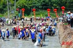 380余亩稻田被认领！慈利县甘堰土家族乡第四届农耕文化节启幕