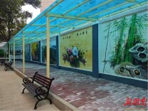 方寸之地造美景，珠晖区和平小区“口袋公园”托起居民“微幸福”
