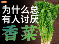 是什么让你讨厌香菜？建议为所有不吃香菜的人发声！