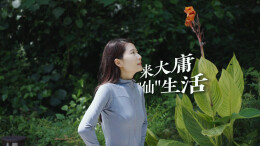 来大庸，有大用丨美好湖南推荐官