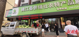 西瓜滞销，瓜农心急如焚，桃江网红达人三天助销四万余斤