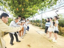 “主播下乡”走进荷塘
